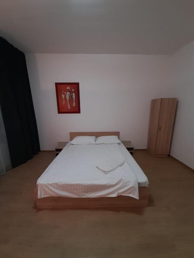 Piata Unirii- 1 Room Studio Apartment Timişoara Exterior foto