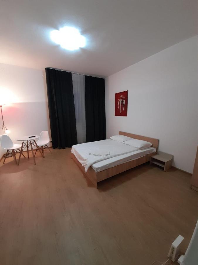 Piata Unirii- 1 Room Studio Apartment Timişoara Exterior foto